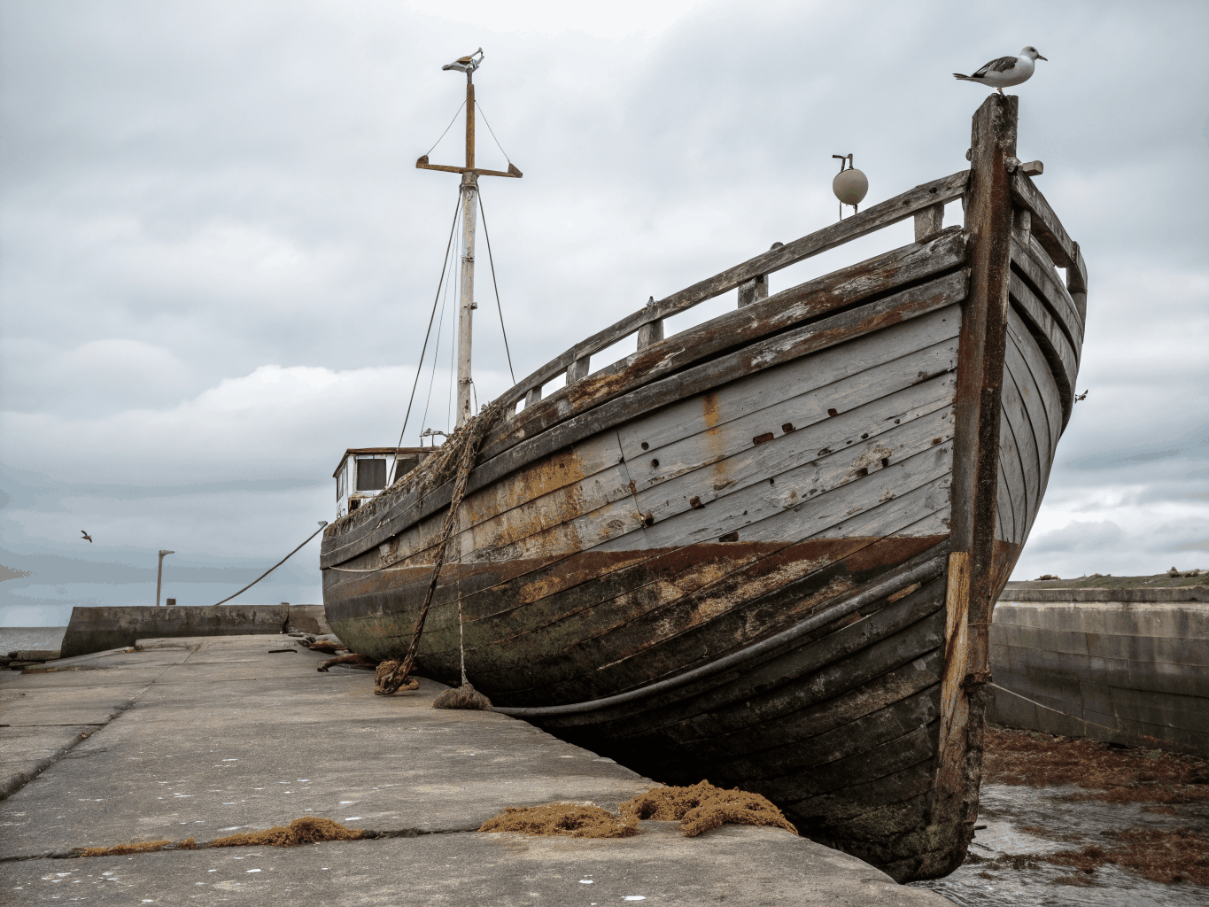 Derelict waterlogged cabin cruiser abandoned on marsh shoreline